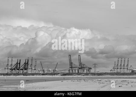 many cranes in black and white Stock Photo - Alamy