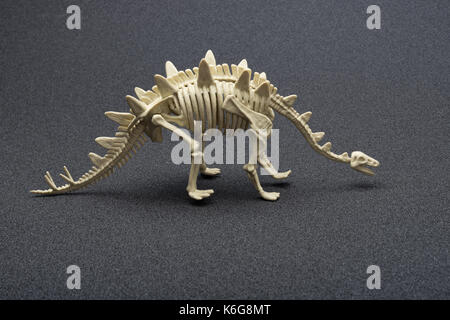 side view stegosaurus skeleton on a dark background Stock Photo