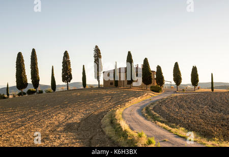 A house surrounded by Cypress Trees just outside Pienza, Val d'Orcia Tuscany Italy Europe EU Stock Photo