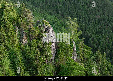 Hahnenkleeklippen / Hahnenklee Crags at Upper Harz / Oberharz in the Harz National Park, Lower Saxony, Germany Stock Photo