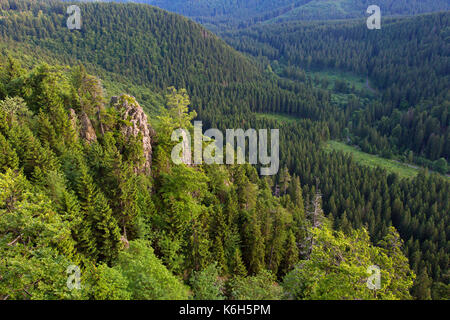 Hahnenkleeklippen / Hahnenklee Crags at Upper Harz / Oberharz in the Harz National Park, Lower Saxony, Germany Stock Photo