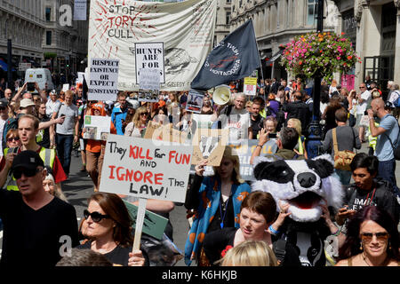 Supporters of The Badger Trust, Make Hunting History and Care2 march to Downing Street in opposition the badger cull and call on the government to retain the fox hunting ban.  Featuring: protesters Where: London, United Kingdom When: 12 Aug 2017 Credit: Howard Jones/WENN.com Stock Photo