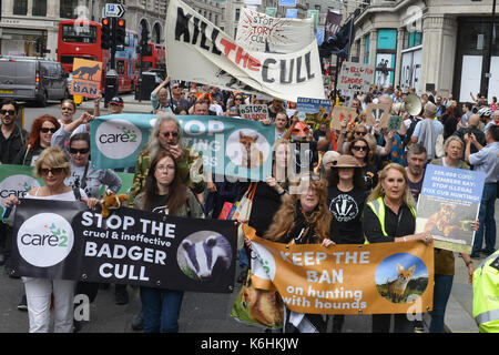 Supporters of The Badger Trust, Make Hunting History and Care2 march to Downing Street in opposition the badger cull and call on the government to retain the fox hunting ban.  Featuring: protesters Where: London, United Kingdom When: 12 Aug 2017 Credit: Howard Jones/WENN.com Stock Photo
