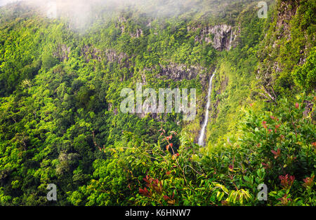 Beautiful panorama of waterfall Black River Gorges and jungle around it, Mauritius. Stock Photo