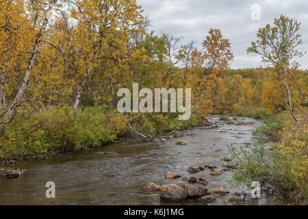 Autumn at the mountain in Alta Finnmark with a river Stock Photo