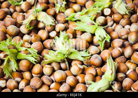 Bunch of fresh hazelnuts forming a background Stock Photo