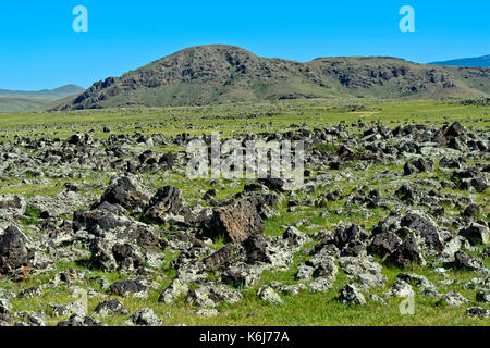 Swaths of lava rocks in the Orkhon Valley, Khangai Nuruu National Park, Oevoerkhangai Aimag province, Mongolia Stock Photo