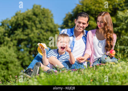 Family having picnic sitting in grass on meadow Stock Photo