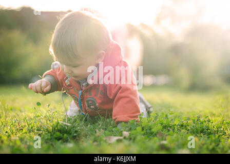 Little boy explores the world of groping something on a tree in the woods Stock Photo