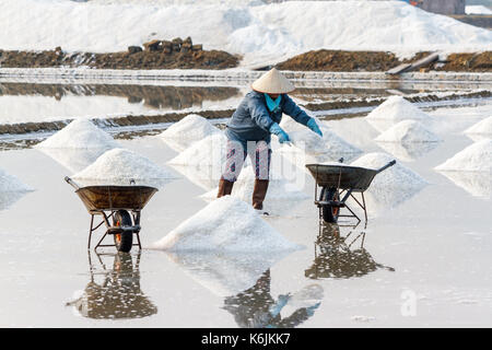 A worker fills wheelbarrows at the Hon Khoi salt fields in Nha Trang, Vietnam. Stock Photo