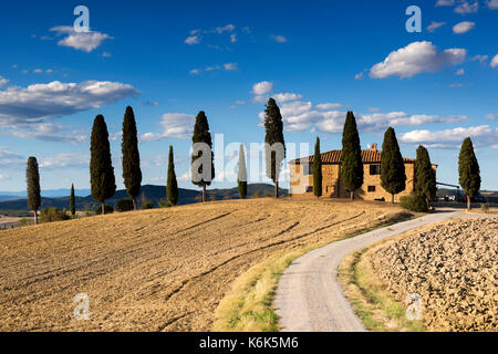 Farmhouse surrounded by Cypress Trees just outside of Pienza, Val d'Orcia in Tuscany Italy EU Stock Photo