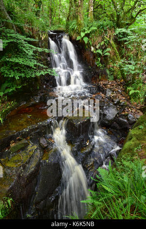 Glenashdale Falls, Whiting Bay, Arran Island, Scotland Stock Photo