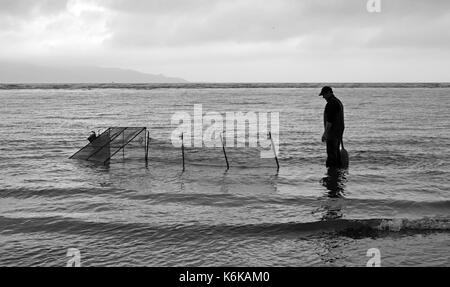 Wellington, New Zealand - Nover 18, 2016: Waiting for the Whitebait to arrive at the nets, Fishing off Waikanae Beach New Zealand Stock Photo