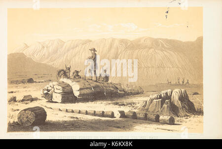 Diary of a journey from the Mississippi to the coasts of the Pacific with a United States government expedition BHL46261936