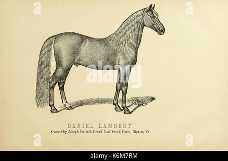Chester's complete trotting and pacing record, containing summaries of all races trotted or paced in the United States or Canada, from the earliest dates to the close of 1885 BHL18456511 Stock Photo