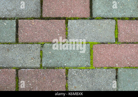 Old red and gray paving stones texture overgrown with green moss Stock Photo