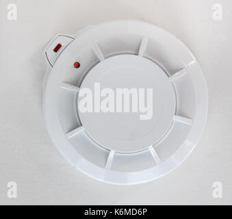 Smoke detector on the ceiling. Smoke sensor mounted on roof in apartment.