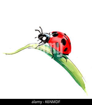 Watercolor ladybug Stock Photo