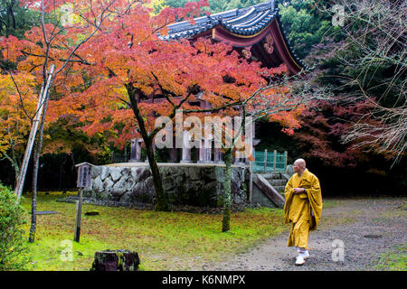 A buddhist monk walks in Daigoji Temple in autumn. Kyoto, Japan. A World Heritage Site since 1994 Stock Photo