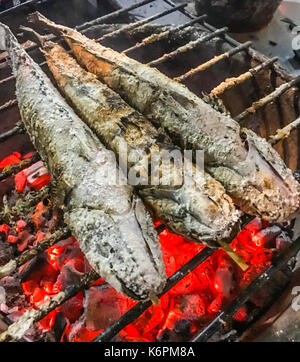 Close up Traditional Charcoal Roasted or Grilled Catfish on the stove, Authentic Thai street food. Favorite side dish menus having along with Som Tum  Stock Photo