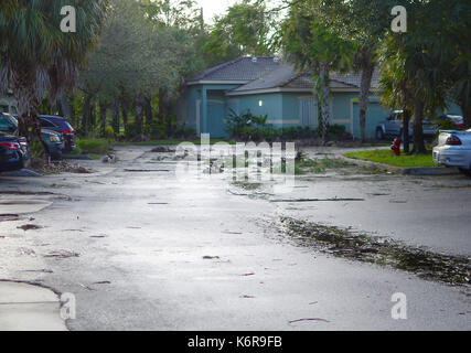 WEST PALM BEACH, FL - Sept 11, 2017: Aftermath pending cleanup of Hurricane Irma in a small neighborhood in Southern Florida showing many downed trees and branches but no structural damage Stock Photo