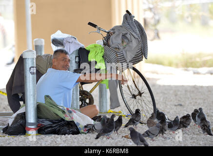 Miami Beach, FL, USA. 13th Sep, 2017. (EXCLUSIVE COVERAGE) ***NO NY DAILIES*** ***EDITORIAL USE ONLY*** ***EDITORIAL USE ONLY*** Homeless man is thankful to return to his home under the Miami Bridge to be with his pigeon friends after he had to go to a shelter to avoid Extreme Category 5 Hurricane Irma on September 13, 2017 in Miami Beach, Florida People: Homeless Man Credit: Mpi122/Media Punch/Alamy Live News Stock Photo