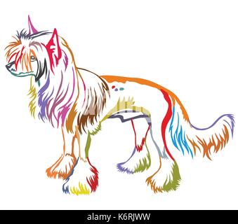 Colorful decorative portrait of standing in profile Chinese Crested Dog, vector isolated illustration on white background Stock Vector