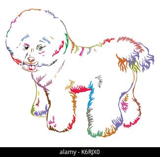 Colorful decorative portrait of standing in profile Bichon Frise, vector isolated illustration on white background Stock Vector