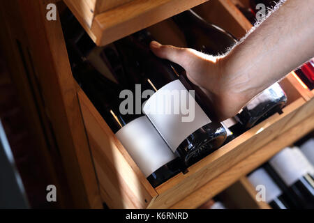 Bottles of wine in the wine cellar. Man chooses wine. Wine cellar. Wine collection. Man chooses aging wine A bottle of wine. Stock Photo