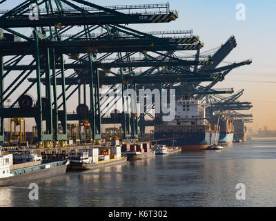 Harbor cranes unloading containers from ships on a sunny morning in the port of Antwerp. Stock Photo