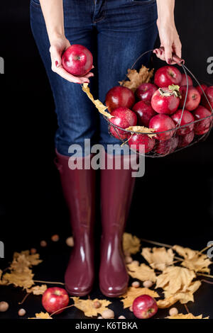 Autumn season concept. The girl in blue jeans and rubber boots (the color Marsala) holding a basket of apples. Stock Photo