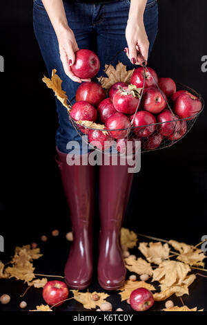 Autumn season concept. The girl in blue jeans and rubber boots (the color Marsala) holding a basket of apples. Stock Photo