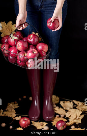 Autumn season concept. The girl in blue jeans and rubber boots (the color Marsala) holding a basket of apples. Stock Photo