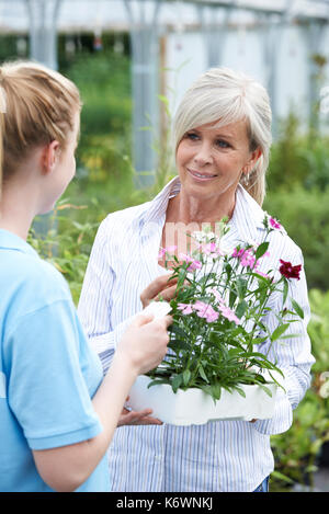 Staff Giving Plant Advice To Female Customer At Garden Center Stock Photo