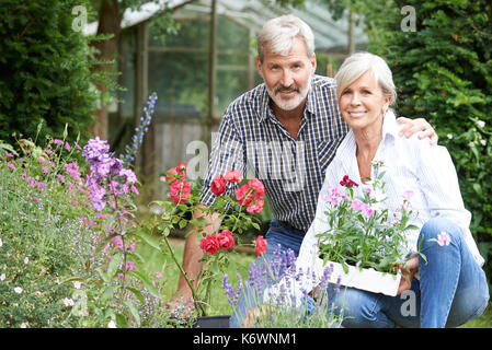 Mature Couple Planting Out Plants In Garden Stock Photo