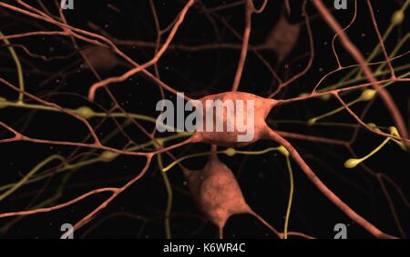Highly detailed 3D concept image of Glial Neuron / Neurons cells against black background with floating debris and depth of field blurring. Stock Photo