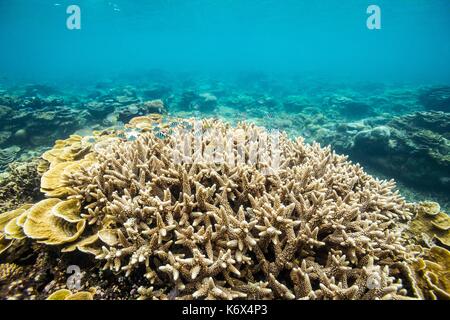 Philippines, Palawan, Aborlan, West Coast, South China Sea Stock Photo ...