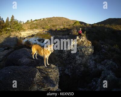 Cuesta Blanca, Cordoba, Argentina - 2016: View of San Antonio river, a mountain river in the Punilla valley. Stock Photo