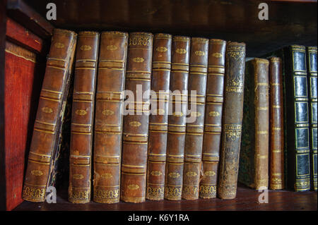 Old vintage books on the wooden bookshelf Stock Photo