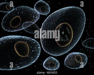 Artistic glowing human cell structures with central nucleus depicting DNA (Deoxyribonucleic Acid) molecules. Stock Photo
