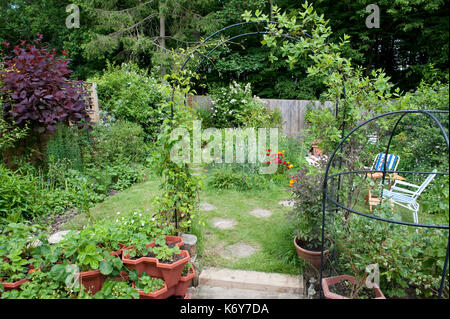 Wildlife Garden, Kent, UK, planted with flowers and shrubs to attract various birds, insects and other wildlife Stock Photo