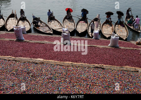 Drying recycled shredded plastic raw materials on the bank of the Buriganga River. these chips will be used later for producing various plastic goods  Stock Photo