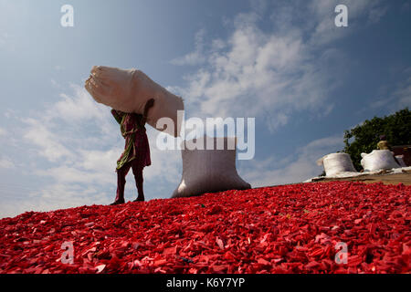 Drying recycled shredded plastic raw materials on the bank of the Buriganga River. these chips will be used later for producing various plastic goods  Stock Photo