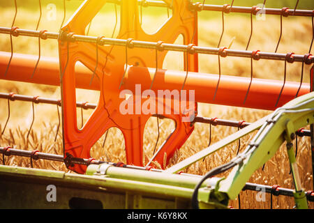 Combine harvester revolving reel harvesting wheat crops in cultivated agricultural field Stock Photo