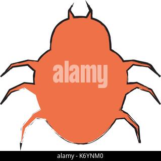 spider virus infection icon Stock Vector