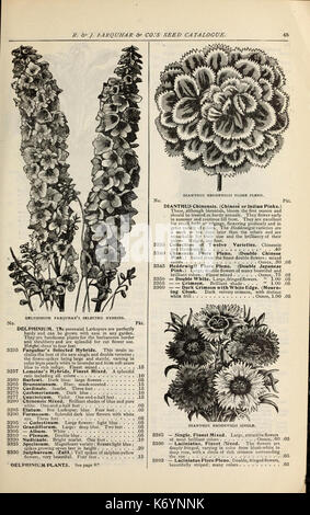 Farquhar's catalogue of seeds 1901 (16582516822) Stock Photo