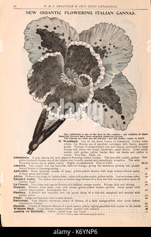 Farquhar's catalogue of seeds 1901 (15961037514) Stock Photo