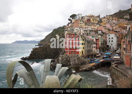 the beautiful pastel colored houses of Manarola, Le Cinque Terre, Italy, from a distance, photoarkive Stock Photo