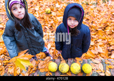 Top view of little girls in autumn orange leaves at park Stock Photo