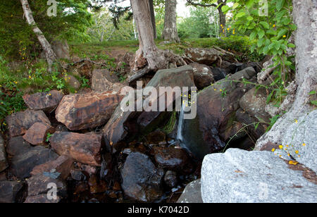 a small waterfall among rocks and trees in a park Stock Photo